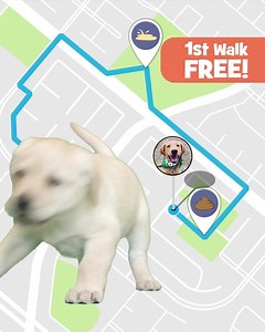 35 reactions · 11 shares | Get a walker who s your  as much as you! | Wag | Facebook