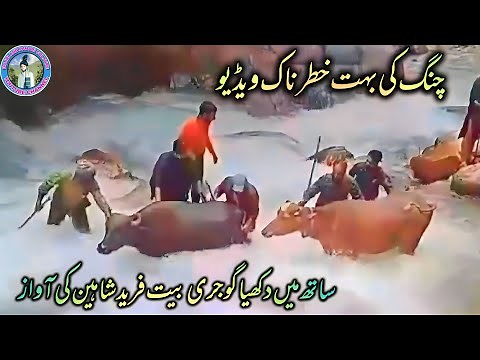 Dukhi gojri bait 2025:fareed Shaheen:dal doo hazar tu cha tori:new gojri bait :gojri Pahari video