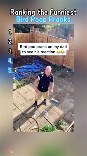 Ranking the Funniest Bird Poop Pranks#fyp#love#funny