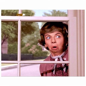 George Tobias and Alice Pearce as Abner and Gladys Kravitz on "Bewitched" #ClassicTV | Citizen Screen