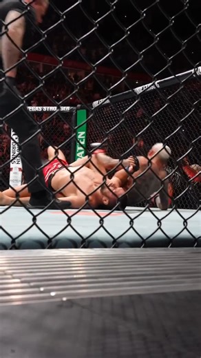 UFC Fight Night 261 - Charles Oliveira vs Mateusz Gamrot | UFCRio | UFCResults