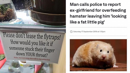 25 Stupidly Funny Images That Make No Sense