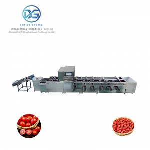 [Hot Item] Cherry Tomato Ai Intelligent Color Classification Machine
