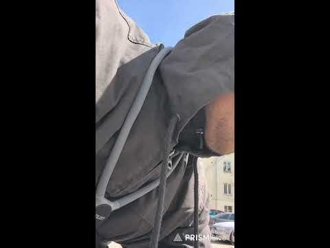 Сколько заработает курьер за 5 часов в доставке?