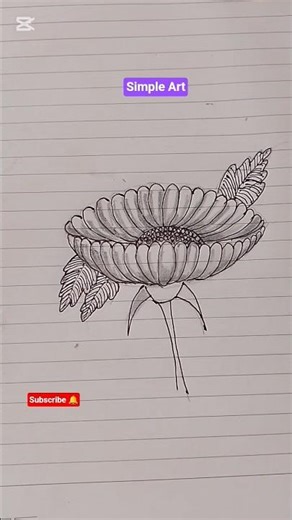 🌸 Easy & Beautiful Flower Drawing | Simple Art for Beginners 🌿usa##uk# india
