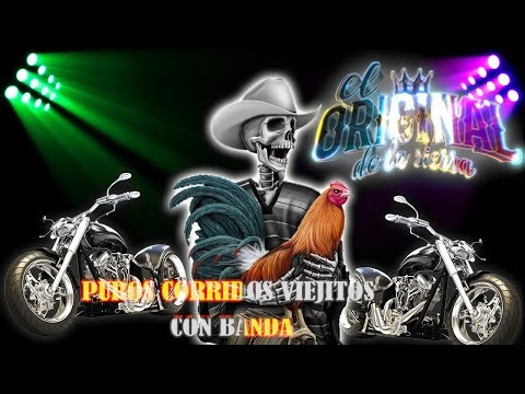 Puros Corridos Perrones Con Banda 🔥50 Clásicos Viejitos De Los Famosos 90s~2000🍻🔥Pá'' Pistear