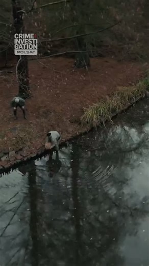 3.5K reactions · 91 shares | 20 lutego 1980 roku robotnicy pracujący w pobliżu Jeziorka Czerniakowskiego natknęli się na garnek dryfujący po powierzchni wody. W jego wnętrzu znajdowała się odcięta głowa kobiety. To odkrycie rozpoczęło śledztwo, które wstrząsnęło całą Polską.  Polskie zabójczynie - sprawa Katarzyny O. dziś o 21:00! | Crime+Investigation Polsat | Facebook