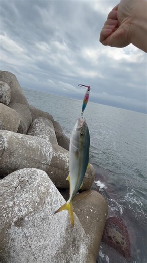 맛있었다 속초 #낚시