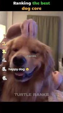 Ranking the best tricycle fails #trending #shorts