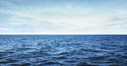 Depressing find at the bottom of the Mariana Trench is a warning to the world