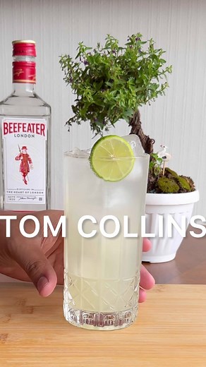Receta Clásica de Coctel Tom Collins