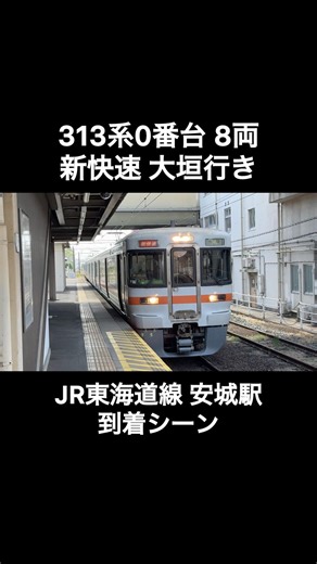 JR東海道線 313系0番台ｶｷY3＋ｶｷY12編成 新快速大垣駅行きの到着シーン（5313F）