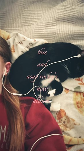 literally majestic #asaprocky #dontbedumb #ilovemusic #niche #cats | A$AP Rocky