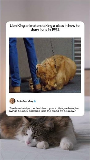 lion king animators taking a class in how to draw lions