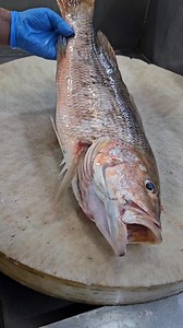 Amazing Golden Snapper Fish Clening Skills #fbreelsfypシ゚viralfbreelsfypシ゚viral #reelsvideo #foryou #shorts | SH Fresh & Fish