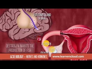 GCSE / IGCSE Biology Revision: Nerves & Hormones ALL Explained SIMPLY!