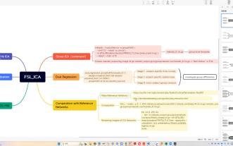 FSL独立成分分析ICA执行逻辑