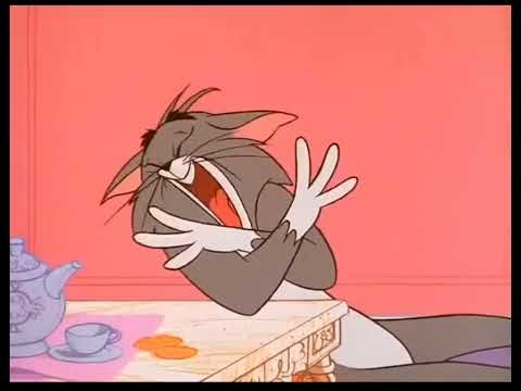 tom and jerry the screaming compilation 2