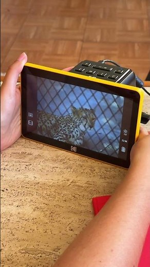 Going through my latest on the Slide N Scan, editing my favorites, and printing them out to share 💌