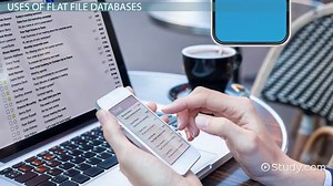 Flat File vs. Relational Database | Definition & Uses