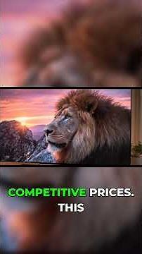 OLED vs Mini LED: Which TV Tech Actually Wins?