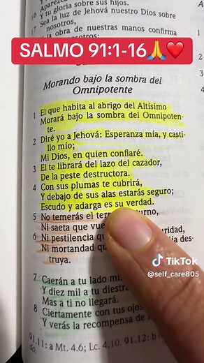 Exploring Psalm 91: Finding Refuge Under God's Protection
