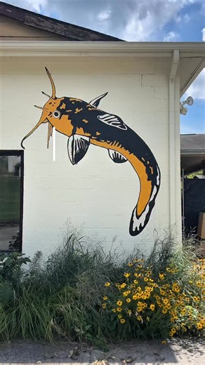 87 species in 40 years, what could we do with 40 more? Conservation Fisheries is a 501(c)3 non-profit organization dedicated to the preservation of aquatic biodiversity in our rivers and streams. In our efforts, we have propagated more than 80 non-game fish species, including some of the most imperiled in the southeastern United States. Whether we’re supporting wild fish populations that are in decline or aiding in cutting-edge research, we are the forerunners of propagating rare and difficult-t