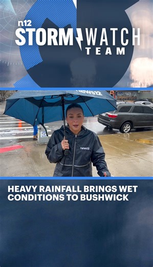 3.9K views · 19 reactions | STORMY WEATHER: Stormy weather has arrived in New York City, bringing wind gusts of up to 40 mph and rainfall across Brooklyn. News 12 is in Bushwick and Canarsie helping you prepare - https://bit.ly/43JL8eA | News 12 Brooklyn | Facebook