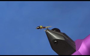 Split Case PMD: The MOST POPULAR PMD Nymph in the shop