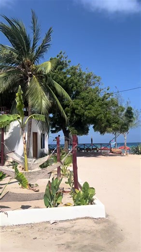 Exploring the Beauty of Zanzibar, Tanzania