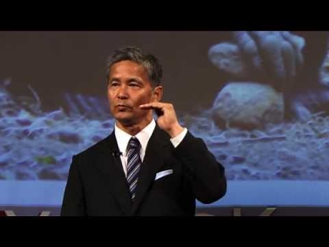 Imagination: Human mind viewed from chimpanzee mind: Tetsuro Matsuzawa at TEDxYouth@Kyoto 2013