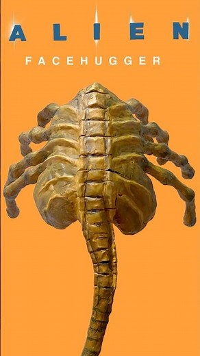 🎥 《抱臉蟲：肌肉紋理篇》#偉大大 #面具製作 #異形 #抱面蟲 #Alien #Facehugger #SciFiClassic