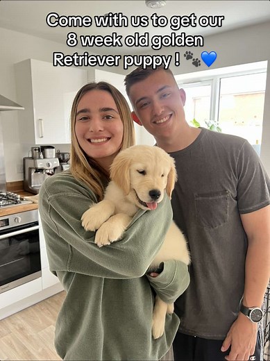 Getting Our 8-Week-Old Golden Retriever Puppy