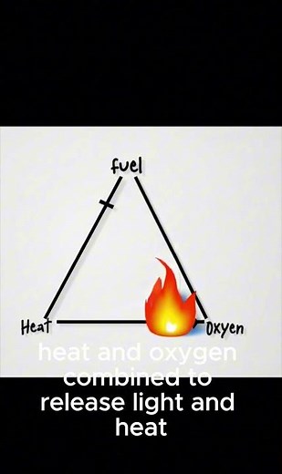 Fire Is Not a Thing 🔥 It’s a Chemical Process!