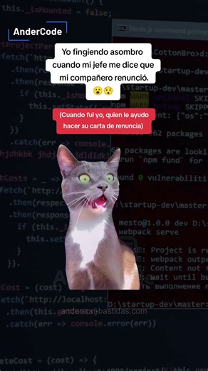#Meme #andercode #developer #programacion #python #novia #humor #esposa