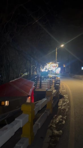 Rescuing Cats: Heartwarming Stories from Islamabad