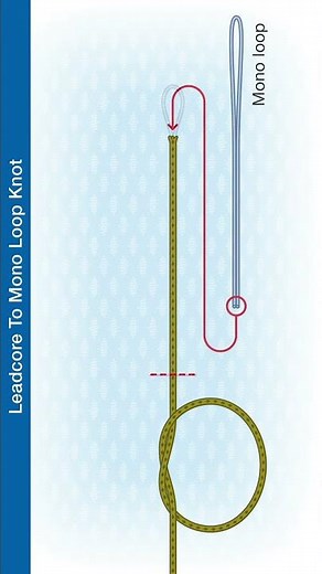 #Shorts How to Tie The Leadcore To Mono Loop Knot