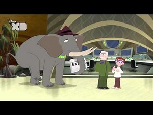 Phineas and Ferb: O.W.C.A. Files | Improper Punctuation | Official Disney XD UK