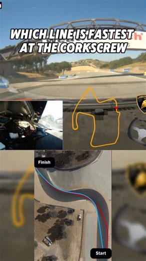 Tiger Tari on Instagram: "Which line are you choosing? FOLLOW @tiger_tari for more motorsport content"