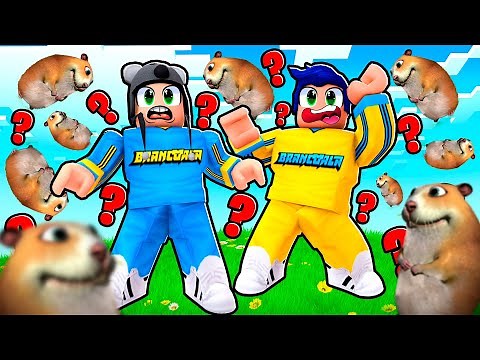 IN SEARCH OF THE LOST HAMSTERS IN ROBLOX FIND THE CHOMIKS - Brancoala Games