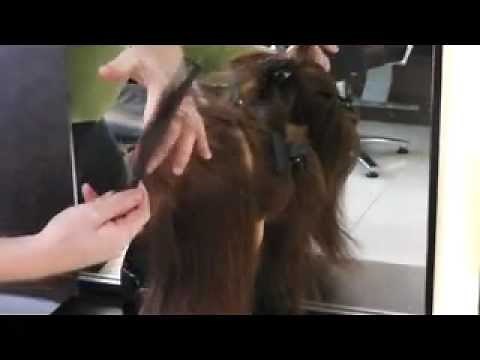 quick way to learn how to cut hair in weeks 1st lesson