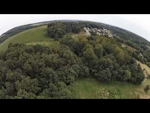 Close call with Turkey Buzzard