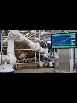 How Dairy Cows Are Raised and Milk Is Made | Smart Farm Kids