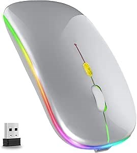 LED Wireless Mouse, Slim Rechargeable Wireless Silent Mouse, 2.4G Portable USB Optical Wireless Cordless Mice with USB Receiver for Laptop, PC, Computer, Mac (Silver)