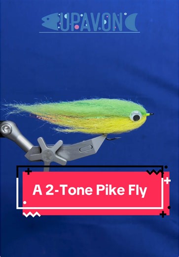 A simple and easy to tie fly for targeting pike. Bright colours and loads of movement from the predator fibres. Takes a few minutes to put together but it is absolutely worth it. I’ve got the materials from the @UPAVON FLY FISHING website. It’s got all the materials you could possibly want and more. So it’s definitely worth having a look. #pike #streamer #flyfishing #upavonflyfishing #flytying