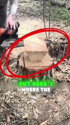 From Log to Stool in Minutes – Genius Woodworking Idea!