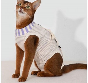 Soft Cotton Cat Recovery Suit: Surgical Wound Care Onesie - Etsy