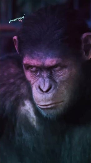 Sean Price - Monkey Barz | Music Video | Monkey Barz Album 2005 #kingkong #planetoftheapes #movies