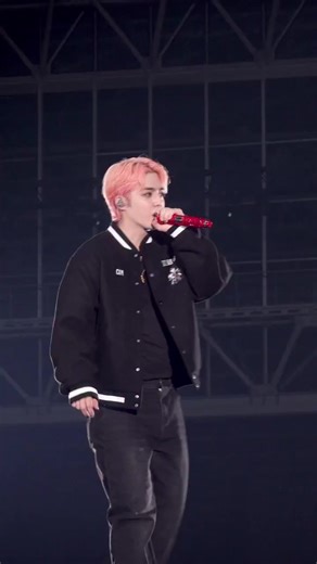 The Exciting Call Moments with Seventeen 🤙📞