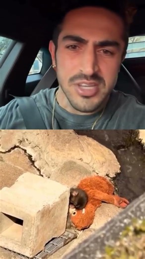 ما ایرانیا واقعا مردم عجیبی هستیم..💔👌#پانچ #میمون #ایسان_اسلامی #مردم_مظلوم_ایران